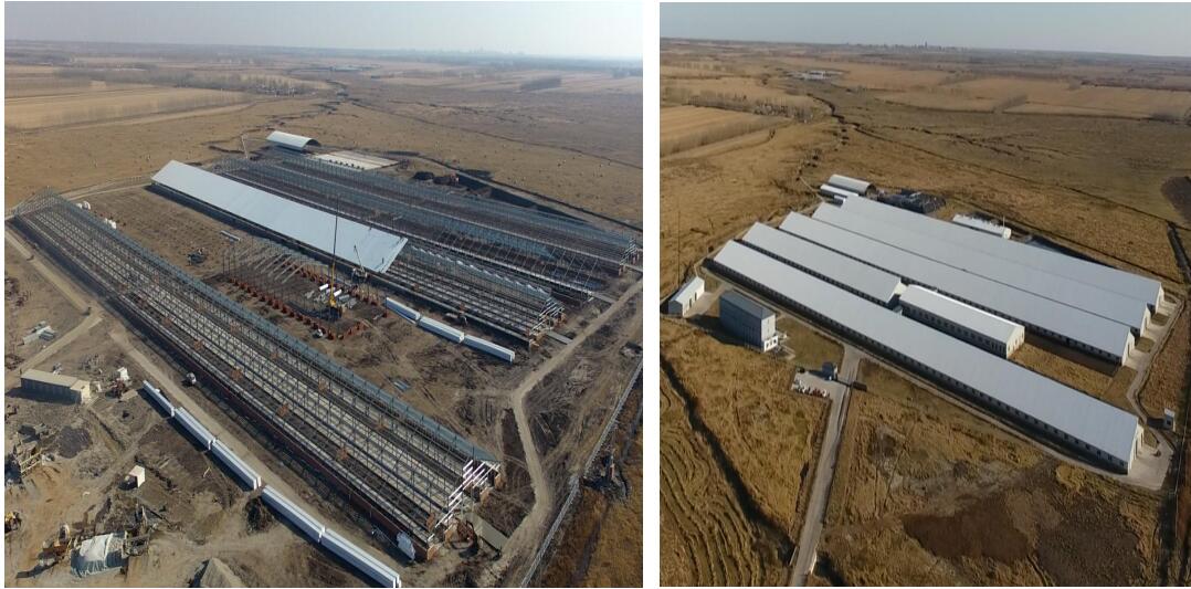 J9集团|国际站官网