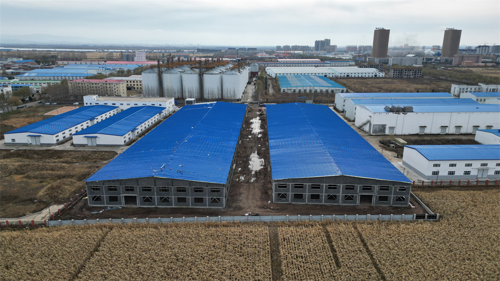 J9集团|国际站官网